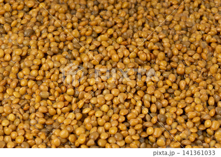 Cooked lentil, boiled green lentils 141361033