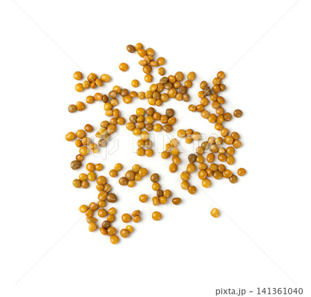 Cooked lentil, boiled green lentils 141361040