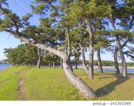 兵庫県立高砂海浜公園/高砂向島台場/日本の白砂青松100選/土木遺産 141361099