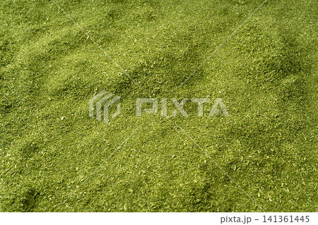 Green grass powder, dry ground barley sprouts 141361445