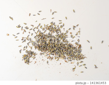 Dry lavender flowers isolated, scattered lavandula perfume buds, petals, fragrance lilac blossoms, herbs 141361453