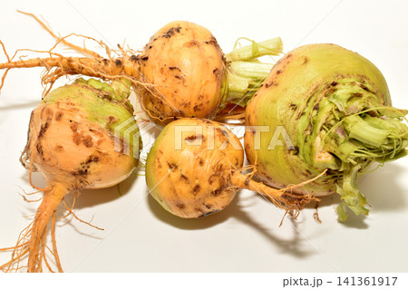 Several turnip roots. Several turnip roots. 141361917