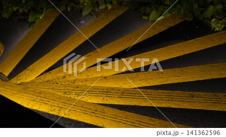 Stairway with Yellow Stripes and Foliage Overhead 141362596