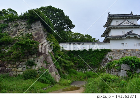 明石城115 坤櫓、稲荷曲輪から 明石城115 坤櫓、稲荷曲輪から 141362871