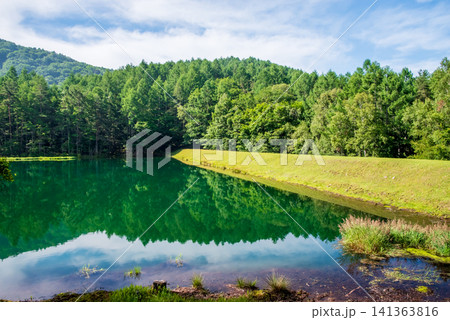 夏の「御射鹿池」 周辺風景《長野県 茅野市》 141363816