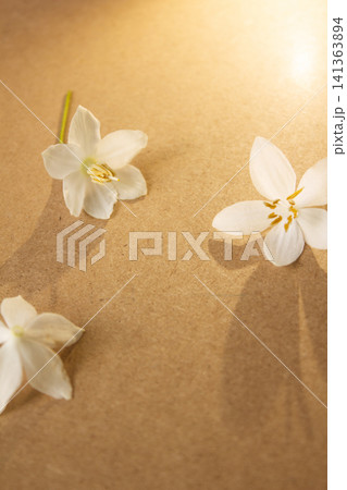 It is a wooden board background and Styrax japonica flowers. It is a wooden board background and Styrax japonica flowers. 141363894