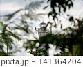 A functioning lighthouse photographed in Indonesia 141364204