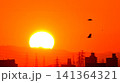 街に沈みゆく夕日  141364321