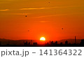 街に沈みゆく夕日 141364322