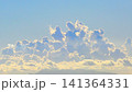 夏空に力強く湧き出る積乱雲   141364331