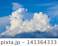 夏空に力強く湧き出る積乱雲   141364333