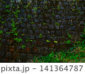 苔むす石垣 141364787
