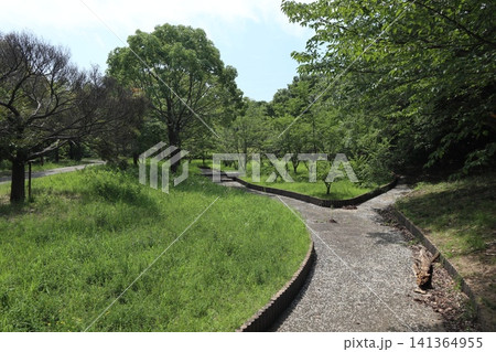 雑草天国の神戸西区西神中央公園 141364955