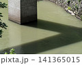 橋脚と橋の影 141365015
