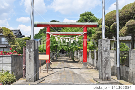 岩槻散歩:釣上神明社 朱鳥居 参道 岩槻散歩:釣上神明社 朱鳥居 参道 141365084