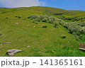 知夫里島の高原 141365161
