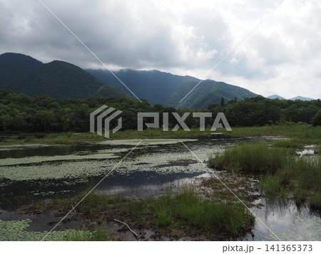 8月中旬の観音沼(福島県下郷町) 8月中旬の観音沼(福島県下郷町) 141365373