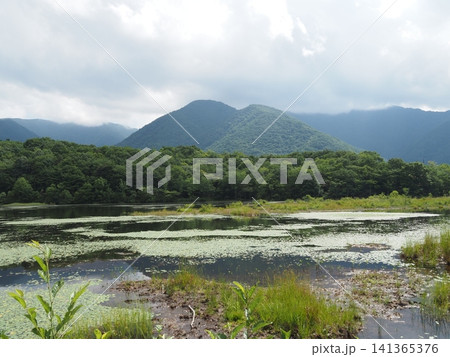 8月中旬の観音沼(福島県下郷町) 8月中旬の観音沼(福島県下郷町) 141365376