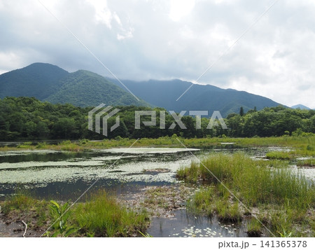 8月中旬の観音沼(福島県下郷町) 8月中旬の観音沼(福島県下郷町) 141365378