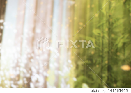 背景素材 ぼかし素材 グリーンとホワイトのグラデーション 背景素材 ぼかし素材 グリーンとホワイトのグラデーション 141365496