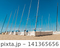 Rows of small sailboats stored on a sandy beach in Spain with tall masts rising against a clear blue sky. 141365656
