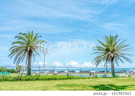千葉県南房総道の駅 ちくら・潮風王国付近の海岸風景 千葉県南房総道の駅 ちくら・潮風王国付近の海岸風景 141365921