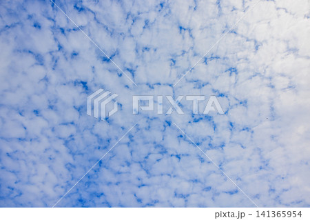 夏の青空に広がるうろこ雲と雲の隙間 夏の青空に広がるうろこ雲と雲の隙間 141365954
