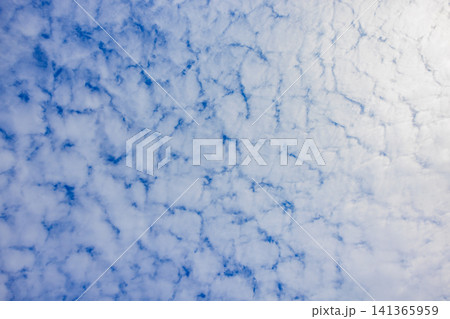 夏の青空に広がるうろこ雲と雲の隙間 夏の青空に広がるうろこ雲と雲の隙間 141365959