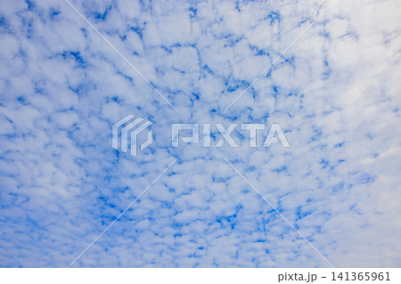 夏の青空に広がるうろこ雲と雲の隙間 夏の青空に広がるうろこ雲と雲の隙間 141365961