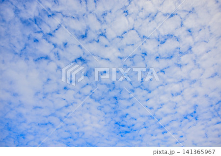 夏の青空に広がるうろこ雲と雲の隙間 141365967