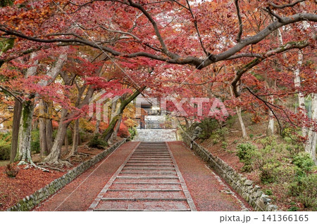 紅葉に彩られた 京都毘沙門堂の秋風景 紅葉に彩られた 京都毘沙門堂の秋風景 141366165