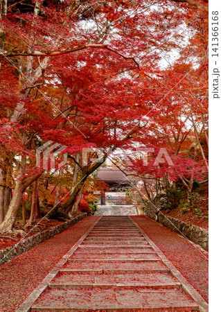 紅葉に彩られた 京都毘沙門堂の秋風景 紅葉に彩られた 京都毘沙門堂の秋風景 141366168