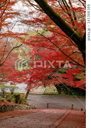 紅葉に彩られた 京都毘沙門堂の秋風景 紅葉に彩られた 京都毘沙門堂の秋風景 141366169