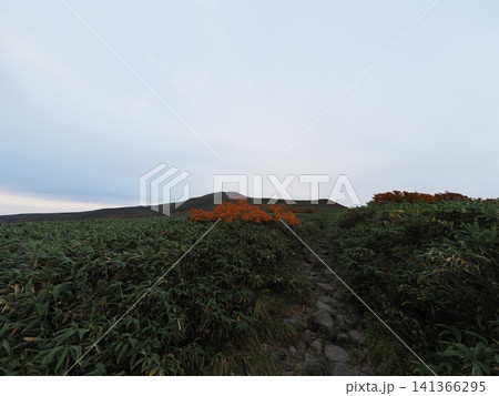 10月上旬の月山(山形県鶴岡市・庄内町・西川町) 10月上旬の月山(山形県鶴岡市・庄内町・西川町) 141366295