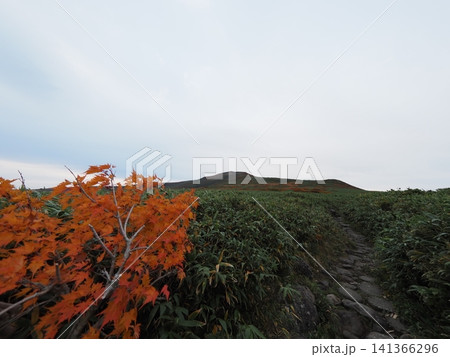 10月上旬の月山(山形県鶴岡市・庄内町・西川町) 10月上旬の月山(山形県鶴岡市・庄内町・西川町) 141366296