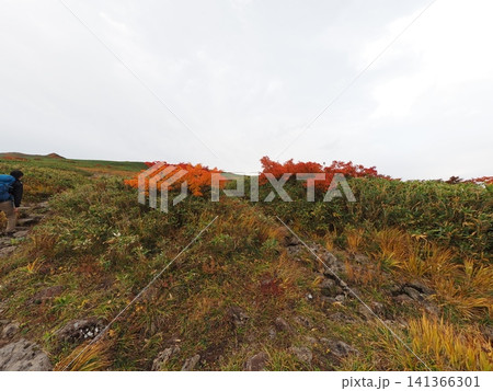 10月上旬の月山(山形県鶴岡市・庄内町・西川町) 10月上旬の月山(山形県鶴岡市・庄内町・西川町) 141366301