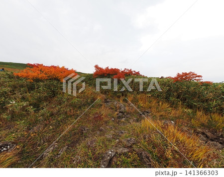 10月上旬の月山(山形県鶴岡市・庄内町・西川町) 10月上旬の月山(山形県鶴岡市・庄内町・西川町) 141366303