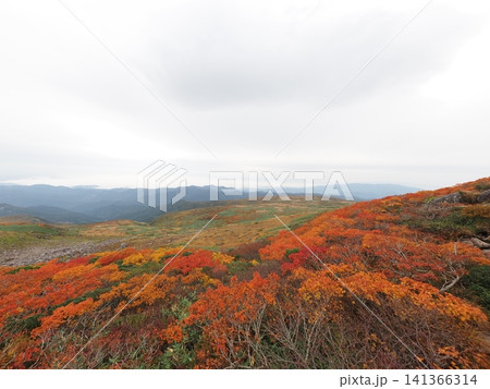 10月上旬の月山（山形県鶴岡市・庄内町・西川町） 141366314