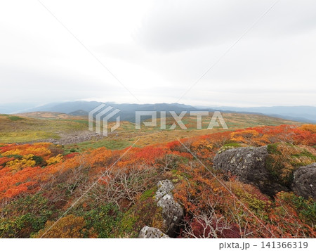 10月上旬の月山(山形県鶴岡市・庄内町・西川町) 10月上旬の月山(山形県鶴岡市・庄内町・西川町) 141366319