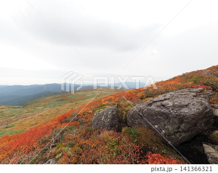 10月上旬の月山(山形県鶴岡市・庄内町・西川町) 10月上旬の月山(山形県鶴岡市・庄内町・西川町) 141366321