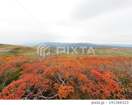 10月上旬の月山（山形県鶴岡市・庄内町・西川町） 141366323