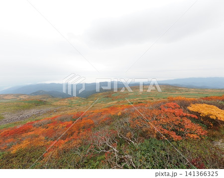 10月上旬の月山(山形県鶴岡市・庄内町・西川町) 10月上旬の月山(山形県鶴岡市・庄内町・西川町) 141366325