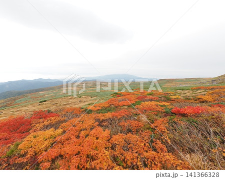 10月上旬の月山（山形県鶴岡市・庄内町・西川町） 141366328