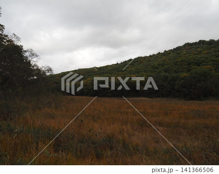 10月下旬の矢ノ原湿原(福島県昭和村) 10月下旬の矢ノ原湿原(福島県昭和村) 141366506