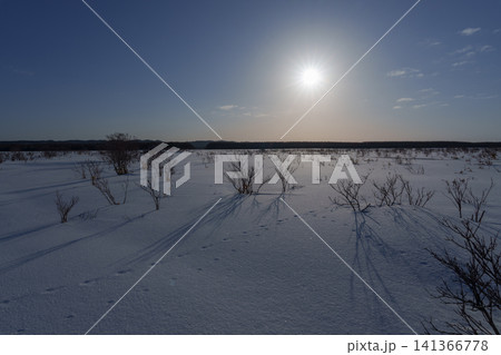 北海道道北サロベツ原野の雪原に広がる冬景色 雪原の絶景観光素材 北海道道北サロベツ原野の雪原に広がる冬景色 雪原の絶景観光素材 141366778