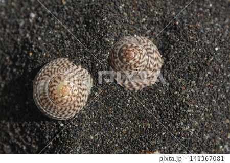 It is a clam shell. 141367081
