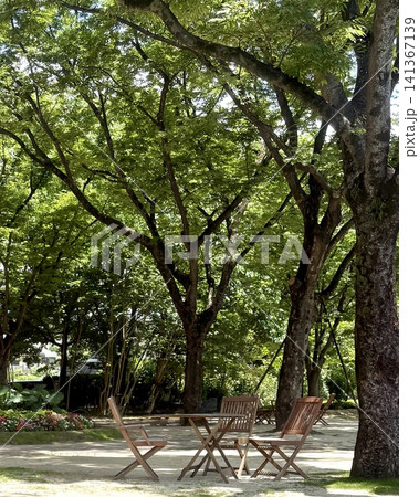木陰のガーデンテーブルとチェア 夏の公園の休憩スペース 木陰のガーデンテーブルとチェア 夏の公園の休憩スペース 141367139
