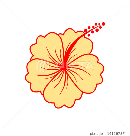 Hand drawn hibiscus flower bright colors on white background. Hand drawn hibiscus flower bright colors on white background. 141367874