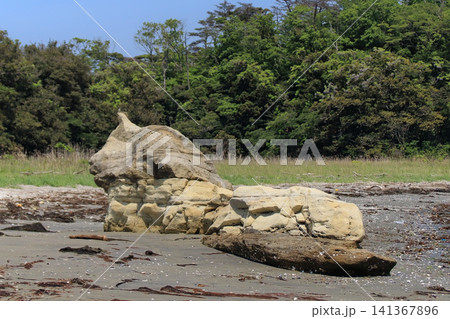 猫か犬の姿に見える奇岩・浦戸諸島野々島の宇内浜 猫か犬の姿に見える奇岩・浦戸諸島野々島の宇内浜 141367896