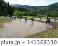 棚田の田植え 141368330